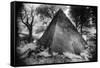 Bernard Mausoleum, Kinnitty, County Offaly, Ireland-Simon Marsden-Framed Stretched Canvas