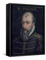 Bernard Palissy-null-Framed Stretched Canvas