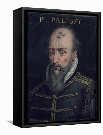 Bernard Palissy-null-Framed Stretched Canvas