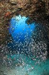 Scuba Diver Swimming through an Arch-Bernard Radvaner-Photographic Print