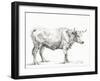 Bernard's Bull Renderings II-Jean Bernard-Framed Art Print