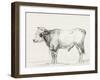 Bernard's Bull Renderings III-Jean Bernard-Framed Art Print