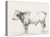 Bernard's Bull Renderings III-Jean Bernard-Stretched Canvas