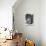 Bernardin de St P Bthplc-null-Stretched Canvas displayed on a wall