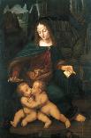Madonna with Child-Bernardino de' Conti-Giclee Print