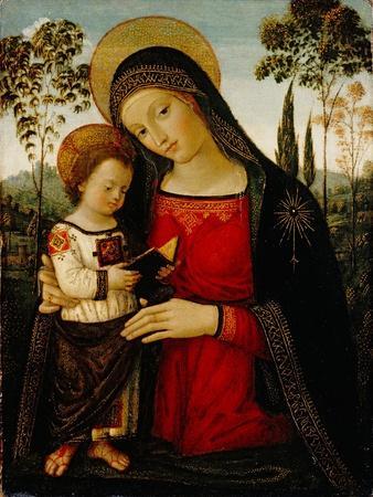 Madonna and Child, c.1490-1495