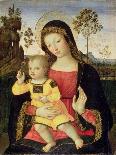 Madonna and Child, c.1490-1495-Bernardino di Betto Pinturicchio-Giclee Print