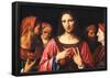 Bernardino Luini Christ among the Doctors Art Print Poster-null-Framed Poster