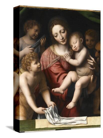 Stretched Canvas Print, , large