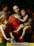 Virgin of the Rose Bush-Bernardino Luini-Giclee Print