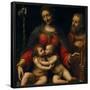 Bernardino Luini / 'The Holy Family', 16th century, Italian School, Oil on panel, 100 cm x 84 cm...-BERNARDINO LUINI-Framed Poster