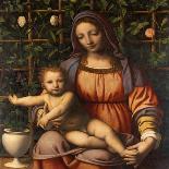 Virgin of the Rose Bush-Bernardino Luini-Giclee Print