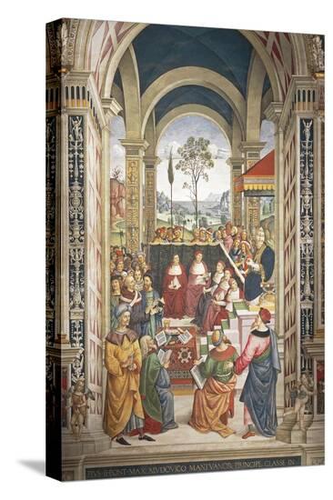 Stretched Canvas Print, , large
