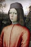 Portrait of a Boy, C1480-1485-Bernardino Pinturicchio-Giclee Print