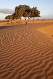 View of desert sand dunes with windblown sand, Sahara, Morocco, may-Bernd Rohrschneider-Framed Photographic Print