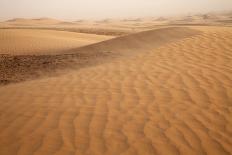 View of desert sand dunes with trees, Sahara, Morocco, may-Bernd Rohrschneider-Photographic Print