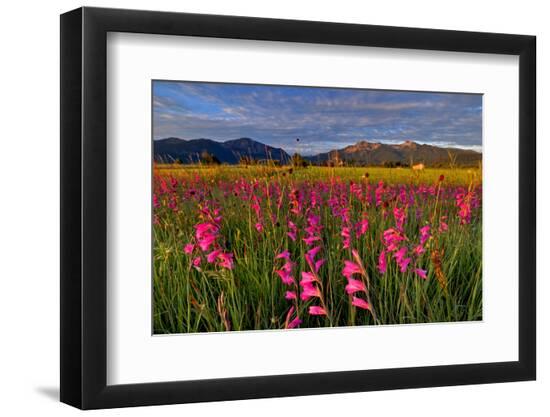 Premium Photographic Print, , large
