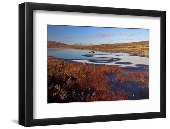 Premium Photographic Print, , large