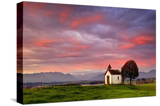 Stretched Canvas Print, , large