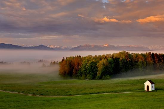 Premium Photographic Print, , large