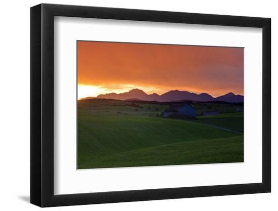 Photographic Print, , large