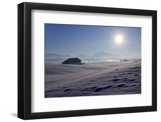 Photographic Print, , large