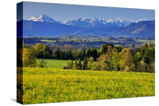 Stretched Canvas Print, , large