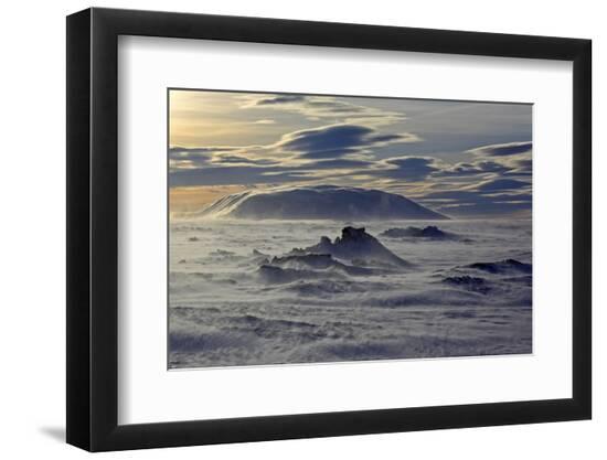 Premium Photographic Print, , large