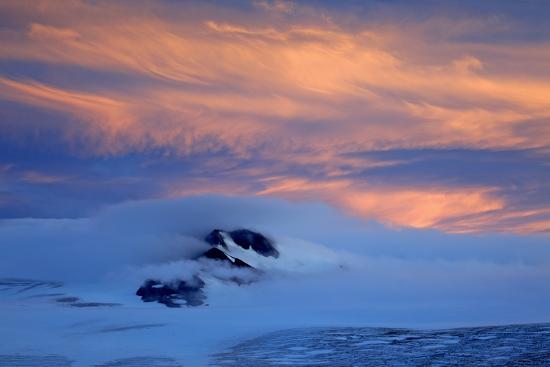 Premium Photographic Print, , large