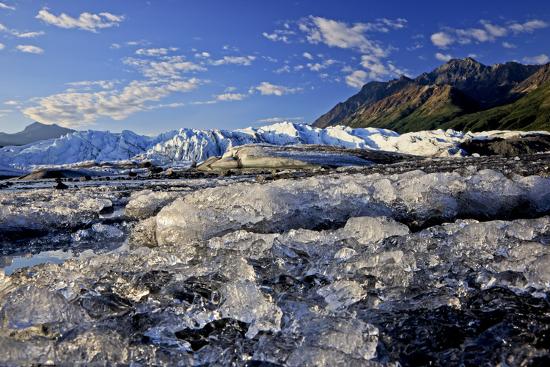 Premium Photographic Print, , large