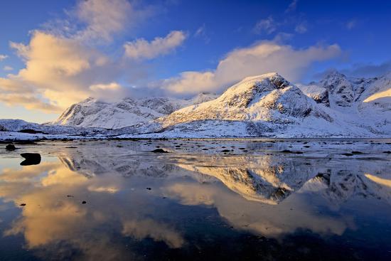 Premium Photographic Print, , large