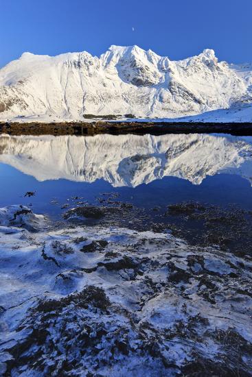 Premium Photographic Print, , large