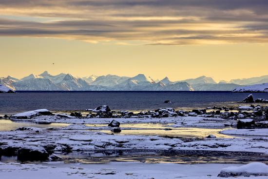 Premium Photographic Print, , large