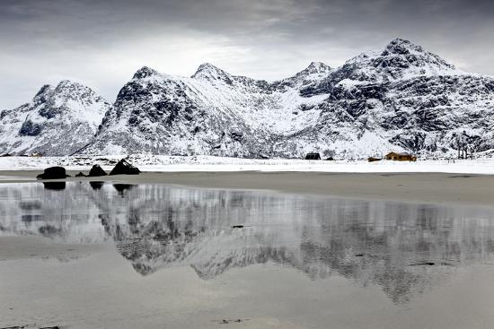 Premium Photographic Print, , large