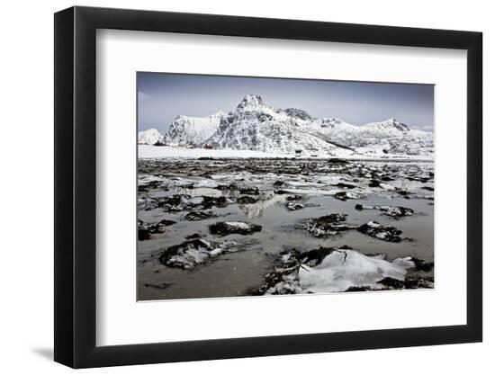 Photographic Print, , large
