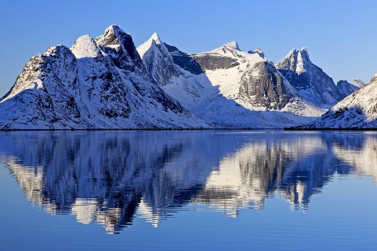 Premium Photographic Print, , large