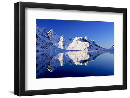 Premium Photographic Print, , large