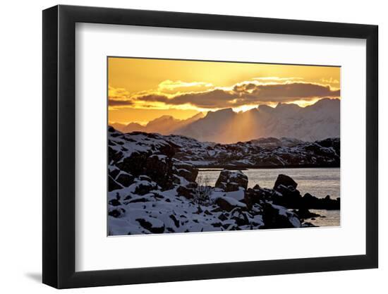 Photographic Print, , large