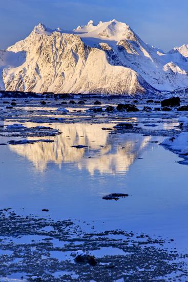 Premium Photographic Print, , large