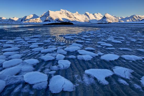 Photographic Print, , large