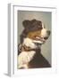 Bernese Dog with Collar-null-Framed Art Print