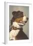 Bernese Dog with Collar-null-Framed Art Print