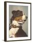 Bernese Dog with Collar-null-Framed Art Print