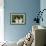 Bernese Mountain Dog 24-Bob Langrish-Framed Premium Photographic Print displayed on a wall