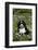 Bernese Mountain Dog Pup in Spring Wildflowers (Anemone), Elburn, Illinois, USA-Lynn M^ Stone-Framed Photographic Print