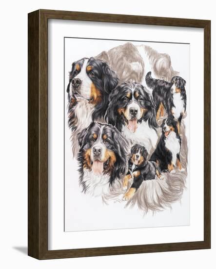 Bernese Mountain Dog with Ghost-Barbara Keith-Framed Giclee Print