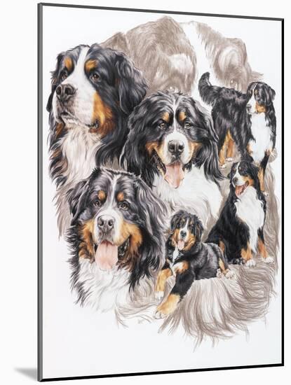 Bernese Mountain Dog with Ghost-Barbara Keith-Mounted Giclee Print