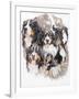 Bernese Mountain Dog with Ghost-Barbara Keith-Framed Giclee Print