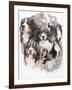 Bernese Mountain Dog with Ghost-Barbara Keith-Framed Giclee Print