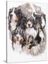 Bernese Mountain Dog with Ghost-Barbara Keith-Stretched Canvas